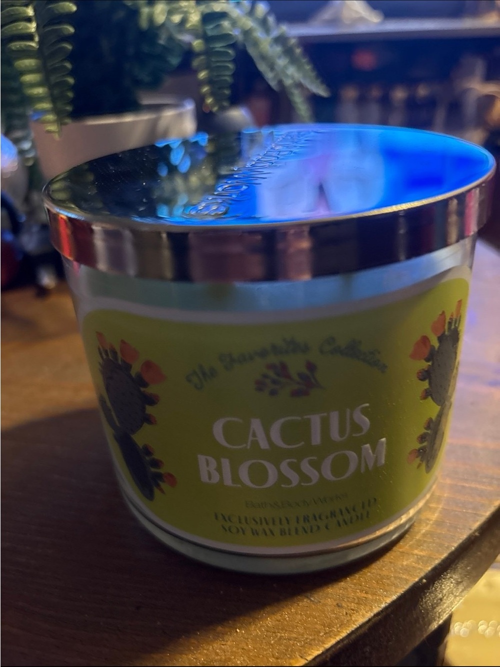 Bath & Body Works Cactus Blossom Candle - Green